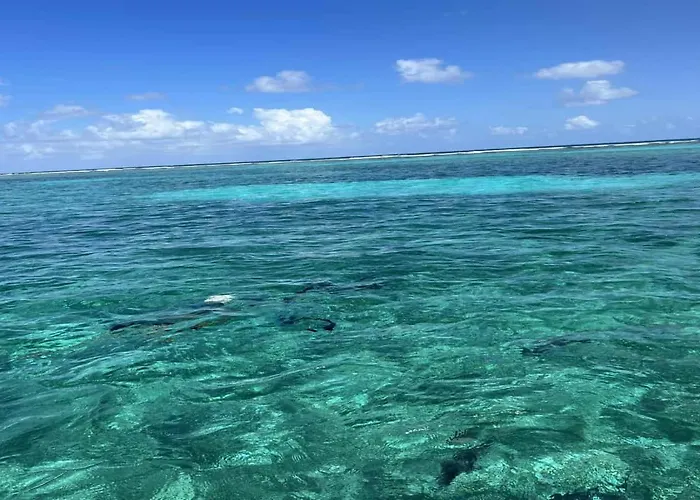 Residences At Barrier Reef 10-1b Oceanfront 2 Bedroom By Floreo Holiday home *